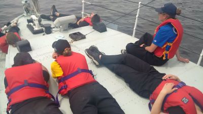 Cliquer pour voir l'image en taille réelle