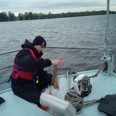 Cliquer pour voir l'image en taille réelle