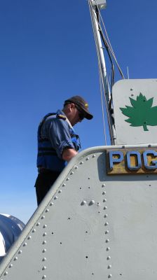 Cliquer pour voir l'image en taille réelle