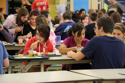 Cliquer pour voir l'image en taille réelle