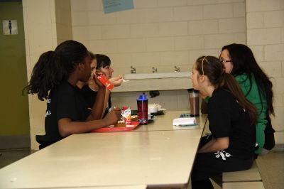 Cliquer pour voir l'image en taille réelle