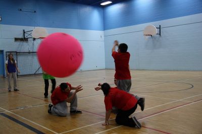 Cliquer pour voir l'image en taille réelle