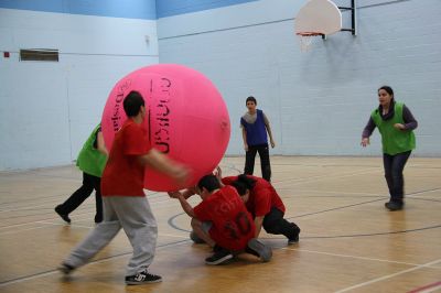 Cliquer pour voir l'image en taille réelle