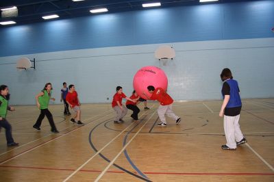 Cliquer pour voir l'image en taille réelle