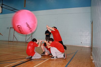 Cliquer pour voir l'image en taille réelle